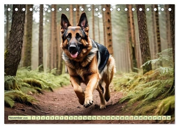 Produktbild: Deutscher Sch&auml;ferhund - Inbegriff der Treue (Tischkalender 2026 DIN A5 quer), CALVENDO Monatskalender