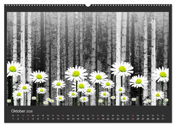 Produktbild: Schwarzwald. Anders. (hochwertiger Premium Wandkalender 2026 DIN A2 quer), Kunstdruck in Hochglanz