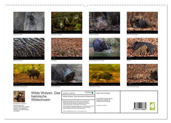 Produktbild: Wilde Wutzen. Das heimische Wildschwein (hochwertiger Premium Wandkalender 2026 DIN A2 quer), Kunstdruck in Hochglanz