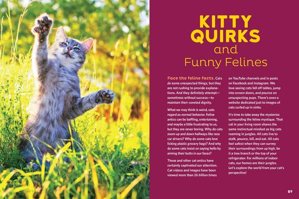 Produktbild: The Cat Behavior Answer Book, 2nd Edition
