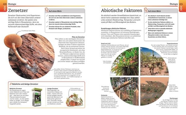Produktbild: Visuelles Wissen. Biologie