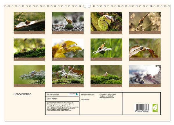 Produktbild: Schneckchen (Wandkalender 2026 DIN A3 quer), CALVENDO Monatskalender