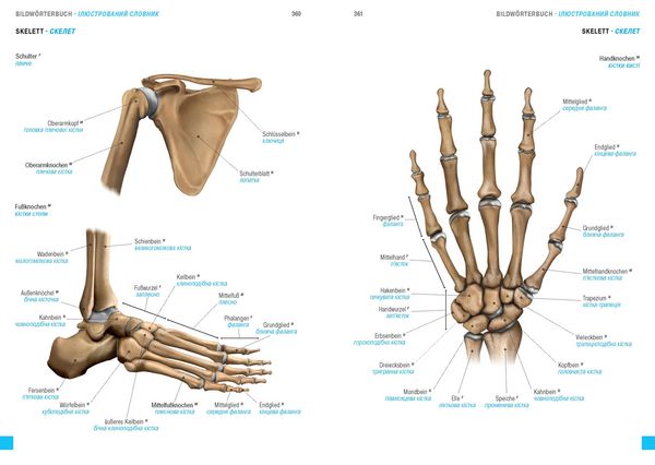 Produktbild: W&ouml;rterbuch Medizin Deutsch-Ukrainisch, Ukrainisch-Deutsch mit zweisprachigen Anatomietafeln