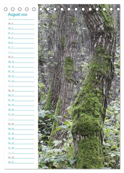 Produktbild: Wunderbarer Spreewald (Tischkalender 2026 DIN A5 hoch), CALVENDO Monatskalender