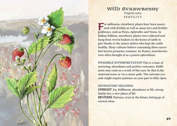 Produktbild: The Herbalist's Oracle