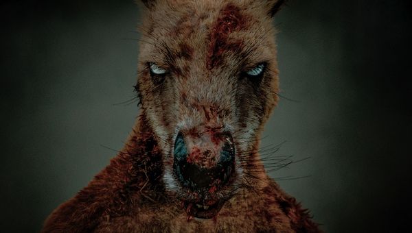 Produktbild: Rippy - Das Killerk&auml;nguru - 2-Disc Limited Collector's SteelBook (UHD-Blu-ray + Blu-ray)