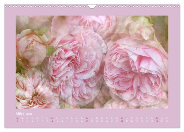 Produktbild: Romantische Rosen (Wandkalender 2026 DIN A3 quer), CALVENDO Monatskalender