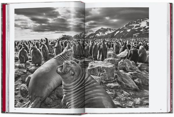 Produktbild: Sebasti&atilde;o Salgado