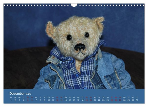 Produktbild: Robin der B&auml;r (Wandkalender 2026 DIN A3 quer), CALVENDO Monatskalender