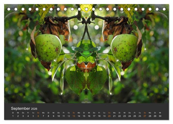 Produktbild: Spiegelwelten - Im Reich der Naturwesen (Tischkalender 2026 DIN A5 quer), CALVENDO Monatskalender