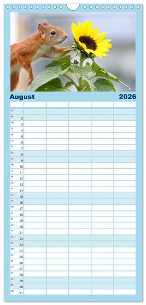 Produktbild: Familienplaner 2026 - Eichh&ouml;rnchen Luna und ihre Kinder mit 5 Spalten (Wandkalender, 21 x 45 cm) CALVENDO