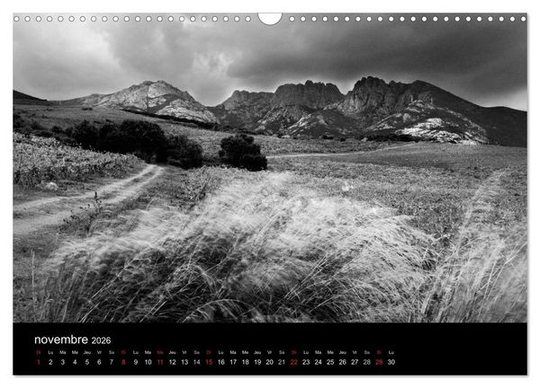 Produktbild: VIGNES DU SUD terroirs d'AOC (Calendrier mural 2026 DIN A3 vertical), CALVENDO calendrier mensuel