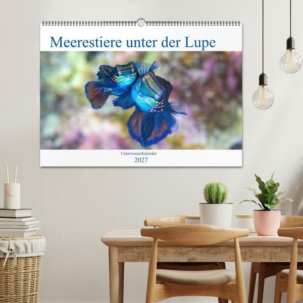 Produktbild: Meerestiere unter der Lupe - Unterwasserkalender (Wandkalender 2027 DIN A2 quer), CALVENDO Monatskalender