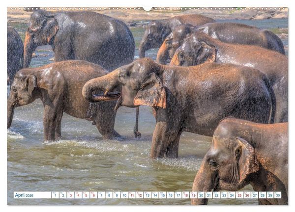 Produktbild: Sri Lanka (High Quality Premium Wall Calendar 2026 DIN A2 landscape),CALVENDO 12 Month Wall Calendar