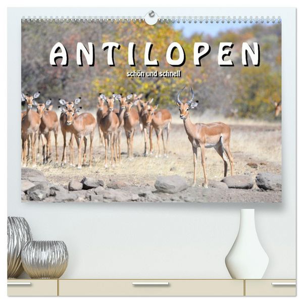 Produktbild: Antilopen, sch&ouml;n und schnell (hochwertiger Premium Wandkalender 2026 DIN A2 quer), Kunstdruck in Hochglanz