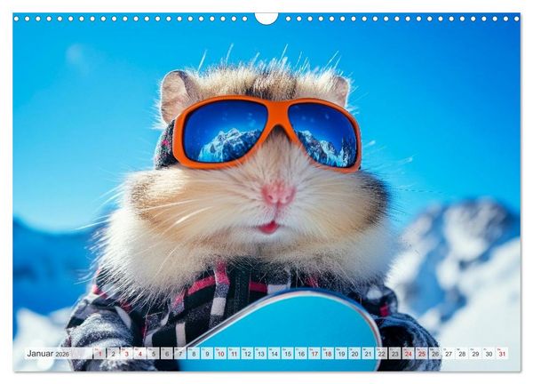 Produktbild: Hamster auf Reisen (Wandkalender 2026 DIN A3 quer), CALVENDO Monatskalender