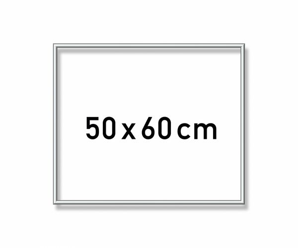 Produktbild: MNZ - Alurahmen Silber 50 x 60 cm
