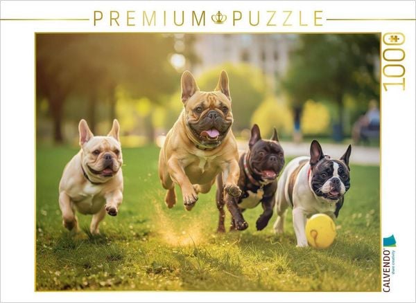 CALVENDO Puzzle Hinterher, der Ball scheint schneller zu sein | 1000 Teile Lege-Größe 64 × 48 cm Foto-Puzzle für glückliche Stunden