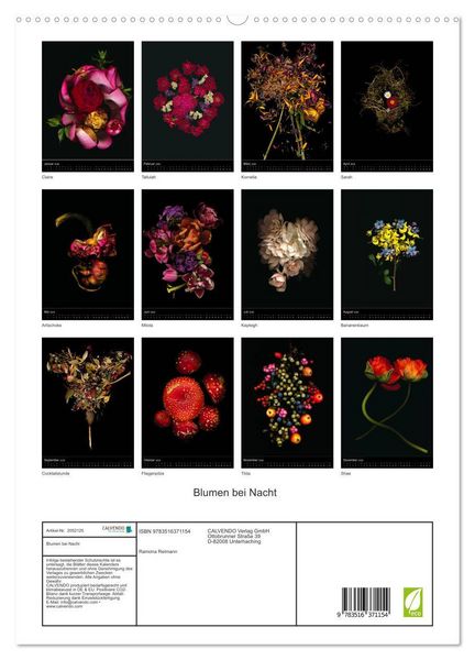Produktbild: Blumen bei Nacht (hochwertiger Premium Wandkalender 2026 DIN A2 hoch), Kunstdruck in Hochglanz