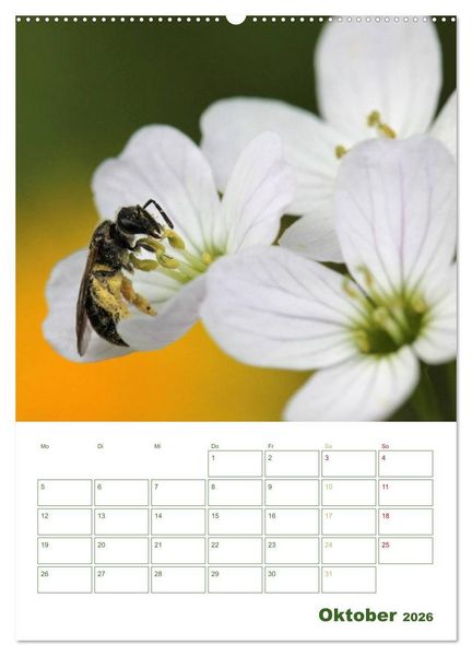 Produktbild: Bienen-Terminplaner 2026 (Wandkalender 2026 DIN A2 hoch), CALVENDO Monatskalender