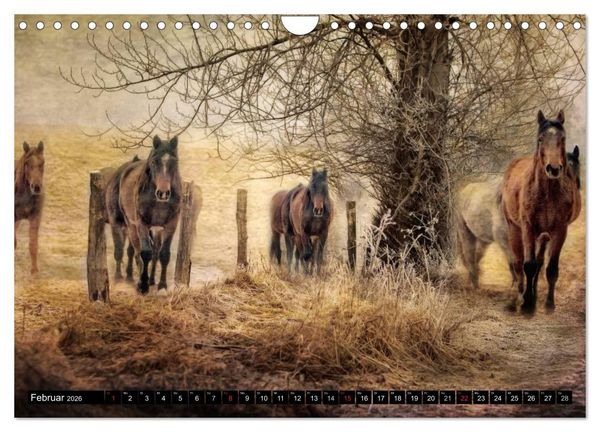 Produktbild: Western und Pferde (Wandkalender 2026 DIN A4 quer), CALVENDO Monatskalender