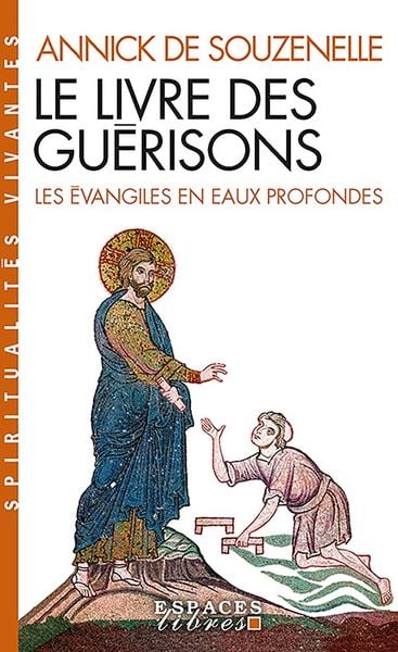 Produktbild: Le livre des gu&eacute;risons : les Evangiles en eaux profondes