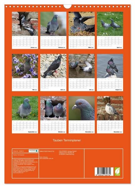 Produktbild: Tauben Terminplaner (Wandkalender 2026 DIN A3 hoch), CALVENDO Monatskalender