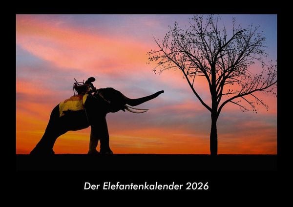 Produktbild: Der Elefantenkalender 2026 Fotokalender DIN A3