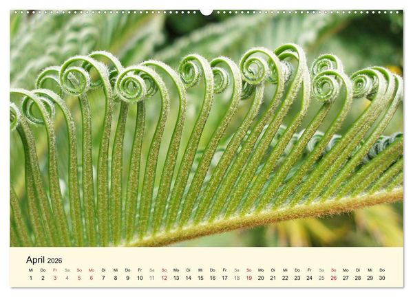 Produktbild: Kraftquelle Gr&uuml;n (hochwertiger Premium Wandkalender 2026 DIN A2 quer), Kunstdruck in Hochglanz