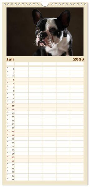 Produktbild: Familienplaner 2026 - Charme auf vier Pfoten - Franz&ouml;sische Bulldoggen Portraits mit 5 Spalten (Wandkalender, 21 x 45 cm) CALVENDO