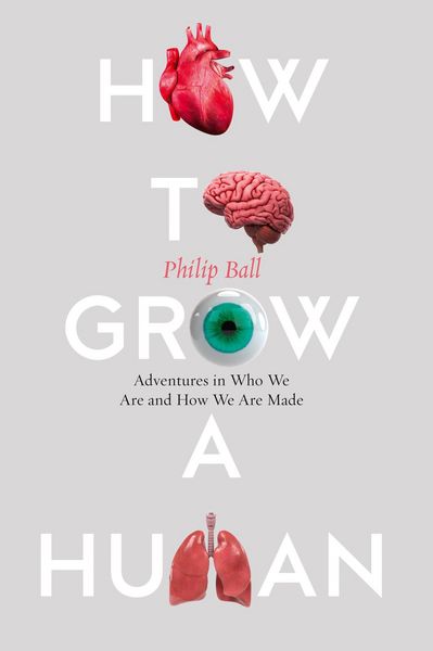 Produktbild: How to Grow a Human