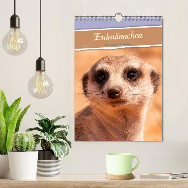 Produktbild: Erdm&auml;nnchen - Eine Kolonie in der Kalahari (Wandkalender 2026 DIN A4 hoch), CALVENDO Monatskalender