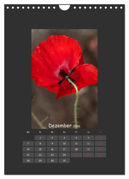 Produktbild: Mohn (Wandkalender 2026 DIN A4 hoch), CALVENDO Monatskalender