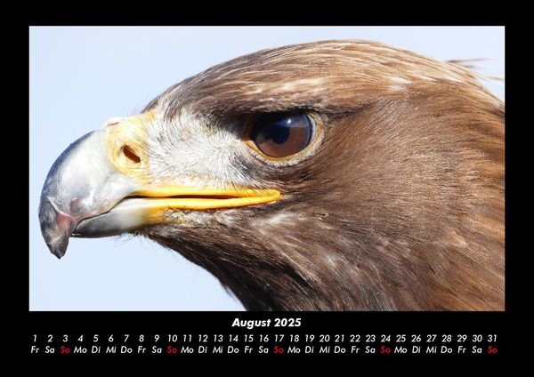 Produktbild: Vogelparadies 2025 Fotokalender DIN A3