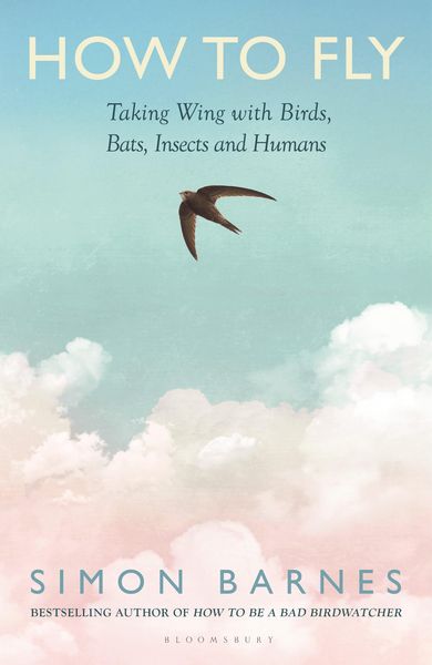 Produktbild: How to Fly