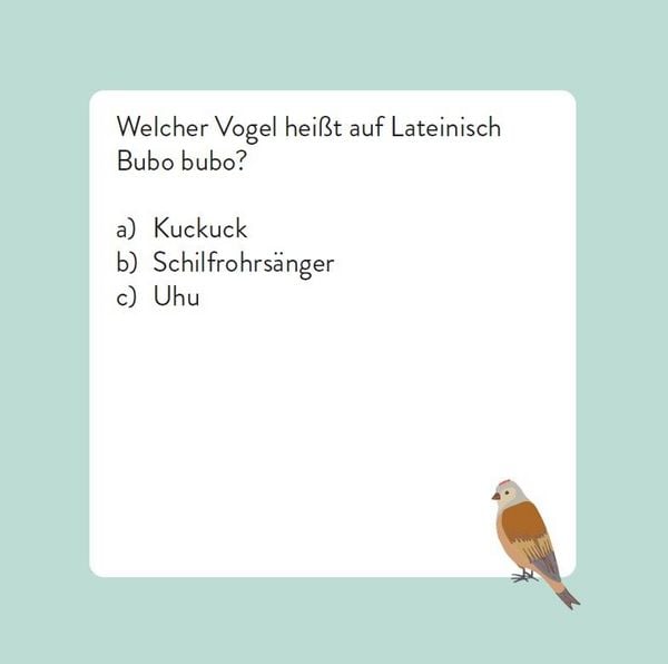 Das Vogel-Quiz