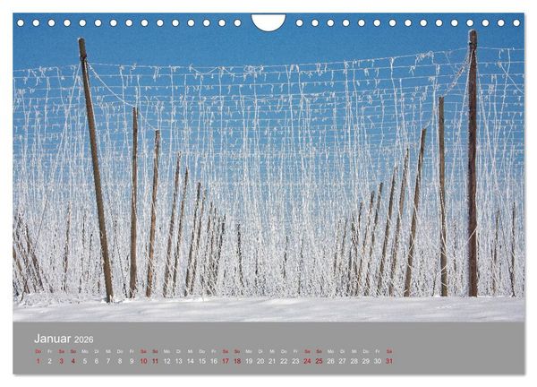 Produktbild: Hallertau (Wandkalender 2026 DIN A4 quer), CALVENDO Monatskalender