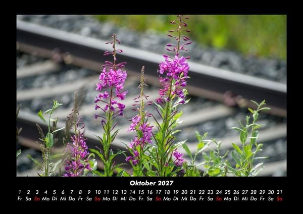 Produktbild: Blumenzauber 2027 Fotokalender DIN A3