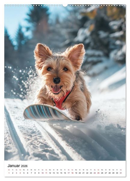 Produktbild: Hunde haben Spa&szlig; (Wandkalender 2026 DIN A2 hoch), CALVENDO Monatskalender