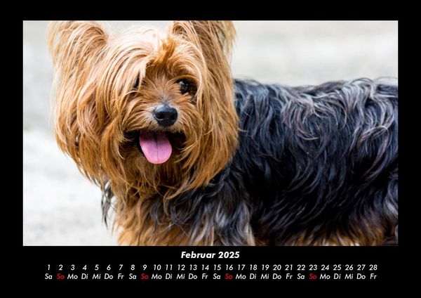 Produktbild: Welt der Tiere 2025 Fotokalender DIN A3