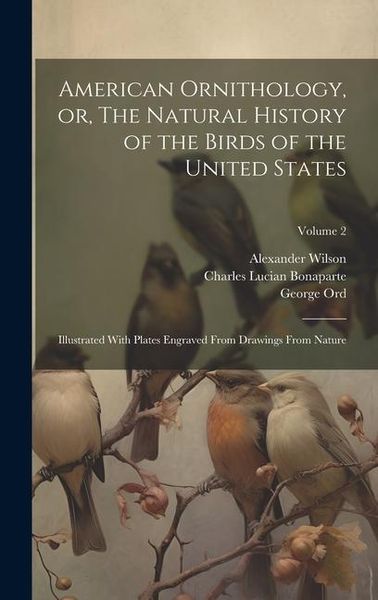 Produktbild: American Ornithology, or, The Natural History of the Birds of the United States: Illustrated With Plates Engraved From Drawings From Nature; Volume 2