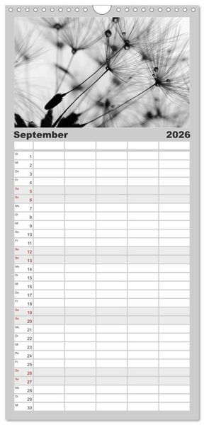 Produktbild: Familienplaner 2026 - Pusteblume - Impressionen in schwarzwei&szlig; mit 5 Spalten (Wandkalender, 21 x 45 cm) CALVENDO