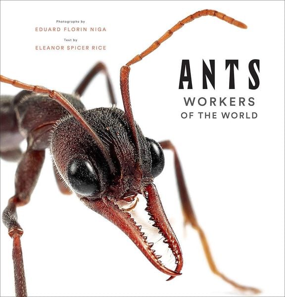 Produktbild: Ants: Workers of the World