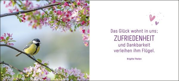 Produktbild: Ein kleines Dankesch&ouml;n