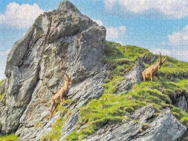 Produktbild: CALVENDO Puzzle Steinb&ouml;cke | 1000 Teile Lege-Gr&ouml;&szlig;e 64x48cm Foto-Puzzle f&uuml;r gl&uuml;ckliche Stunden