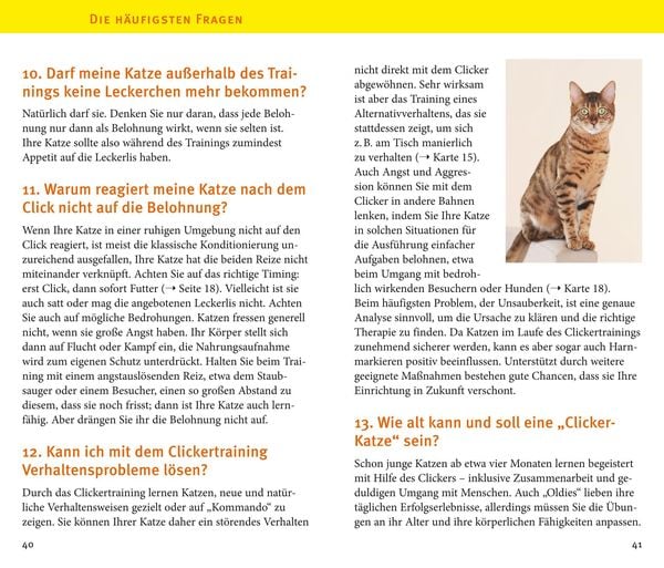 Produktbild: Katzen-Clicker-Box