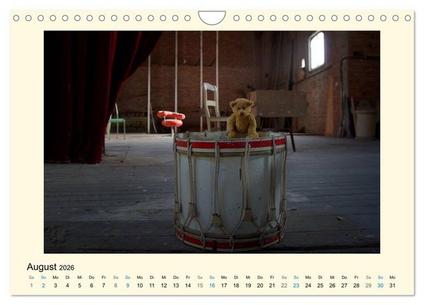 Produktbild: Herr B&auml;r urban explorer (Wandkalender 2026 DIN A4 quer), CALVENDO Monatskalender