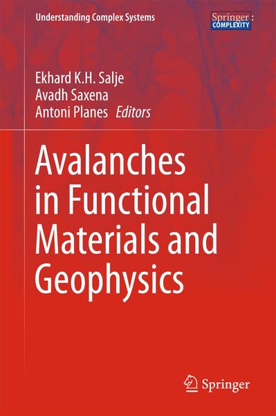 Produktbild: Avalanches in Functional Materials and Geophysics