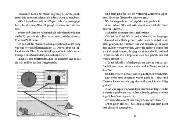 Produktbild: Miss Braitwhistle 3. Miss Braitwhistle hebt ab. Neu illustriert von Andrea Stegmaier