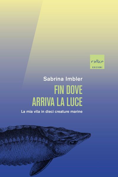 Produktbild: Fin dove arriva la luce